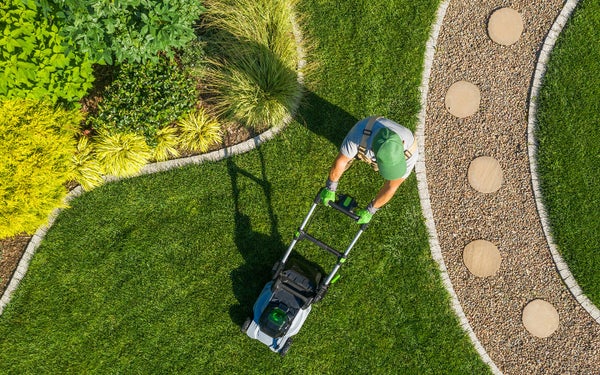 Landscaping Demo in Derwood MD