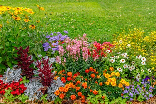 Gallery | Community Support From Landscaping Demo