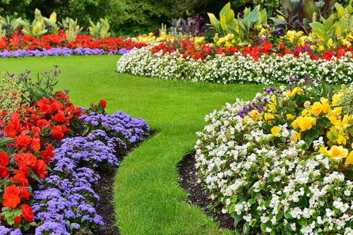 Gallery | Community Support From Landscaping Demo