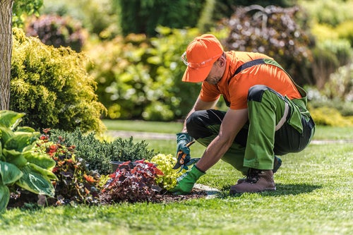 Gallery | Community Support From Landscaping Demo