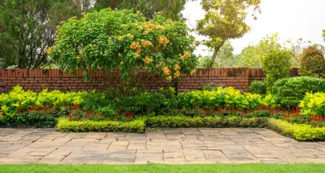 A landscaped yard