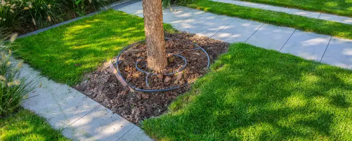 A landscaped yard