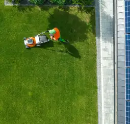 A landscaped yard