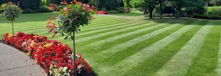 A landscaped yard