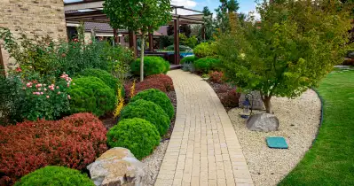 A landscaped yard