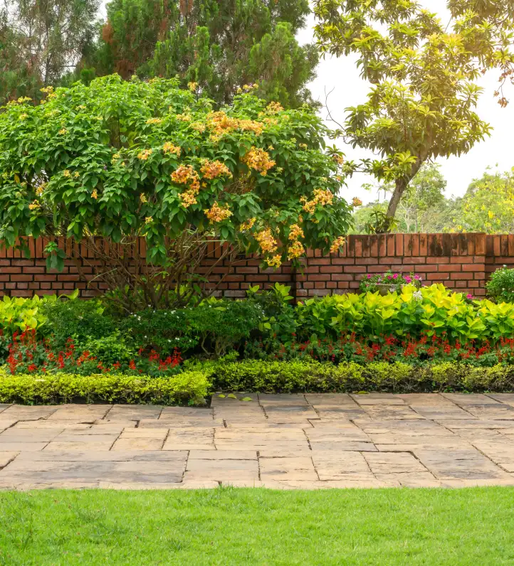 A landscaped yard
