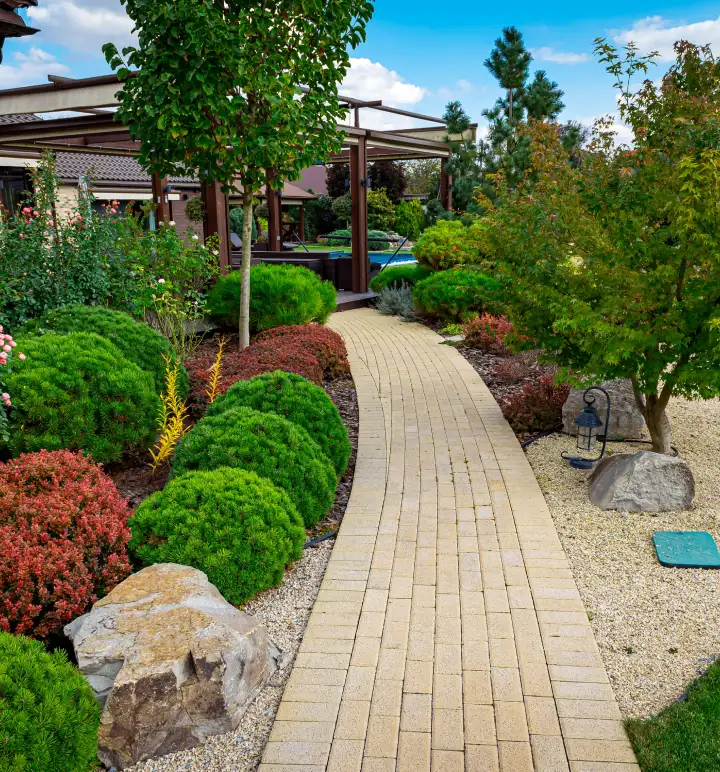 A landscaped yard