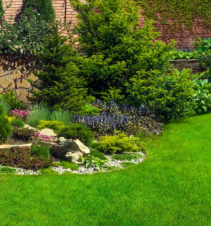 A landscaped yard