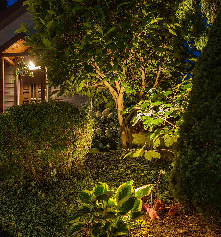 A lighted lawn