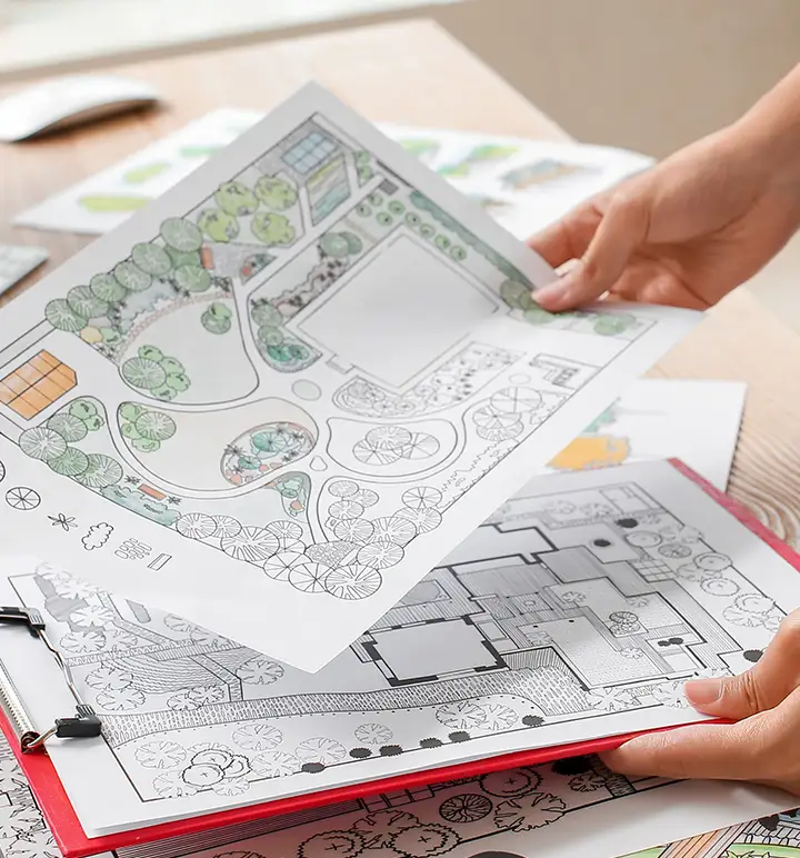 A person holding landscaping plans